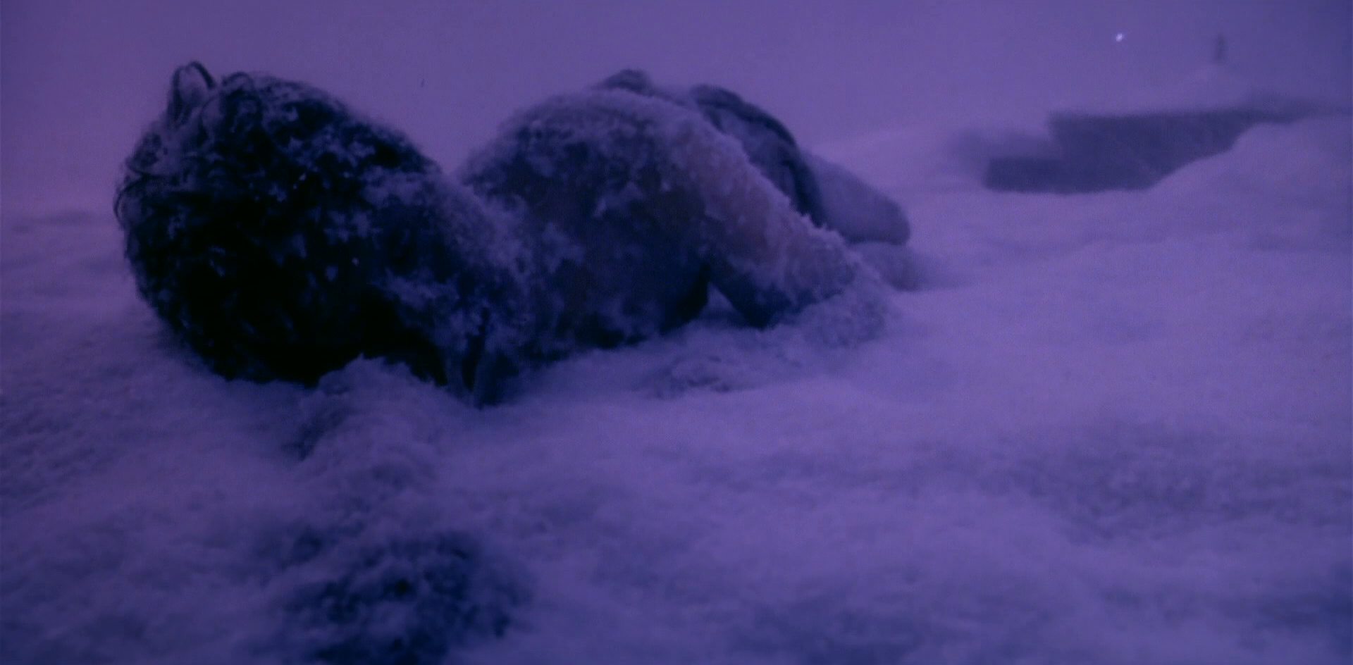 extant_StarTrek_6_TheUndiscoveredCountry_DC_04950.jpg