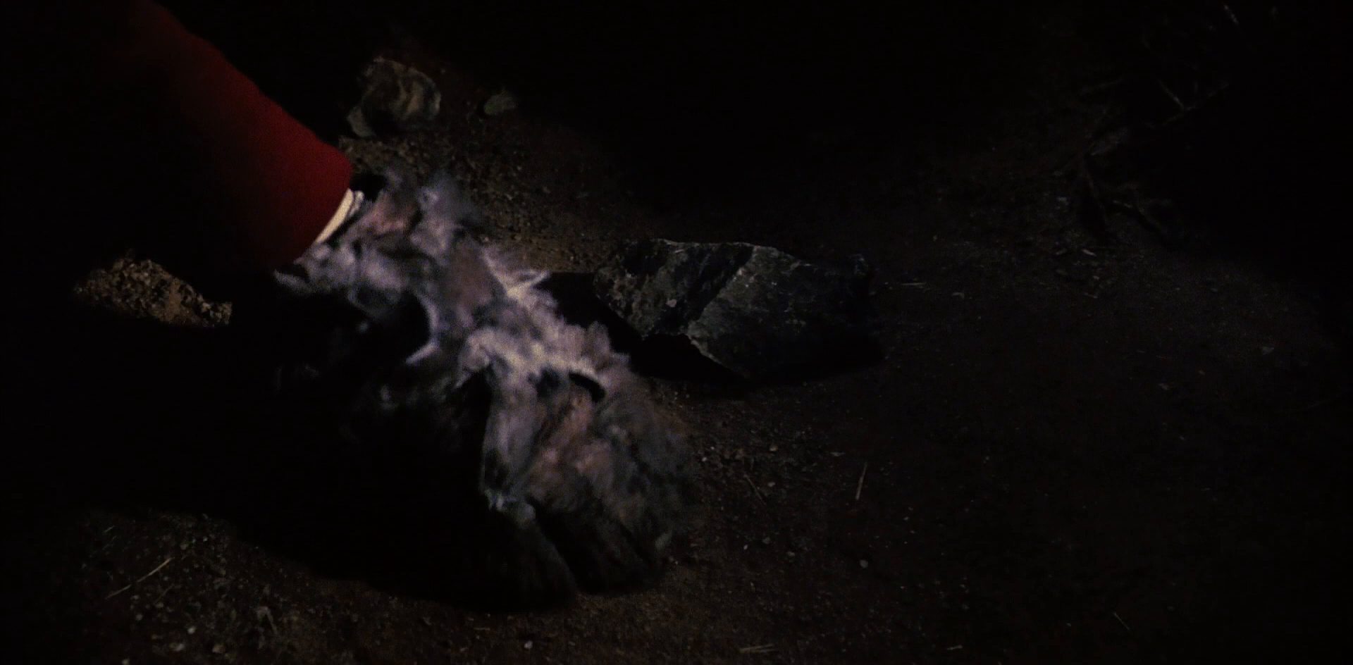 extant_StarTrek_6_TheUndiscoveredCountry_DC_05666.jpg