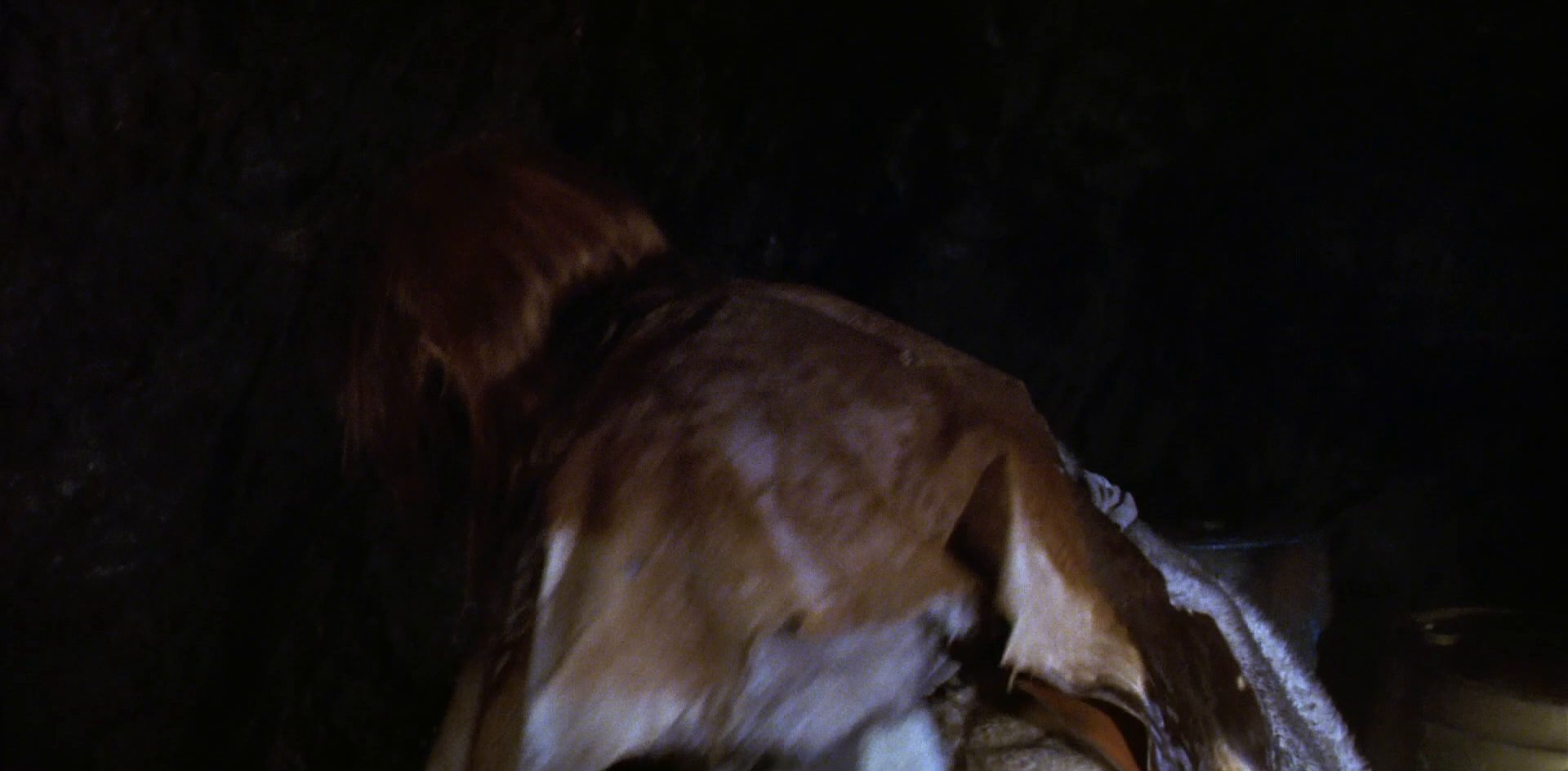 extant_StarTrek_6_TheUndiscoveredCountry_DC_06162.jpg