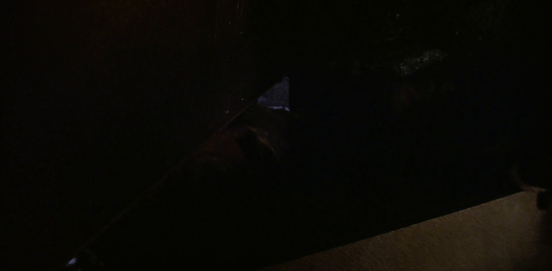 extant_StarTrek_6_TheUndiscoveredCountry_DC_06219.jpg