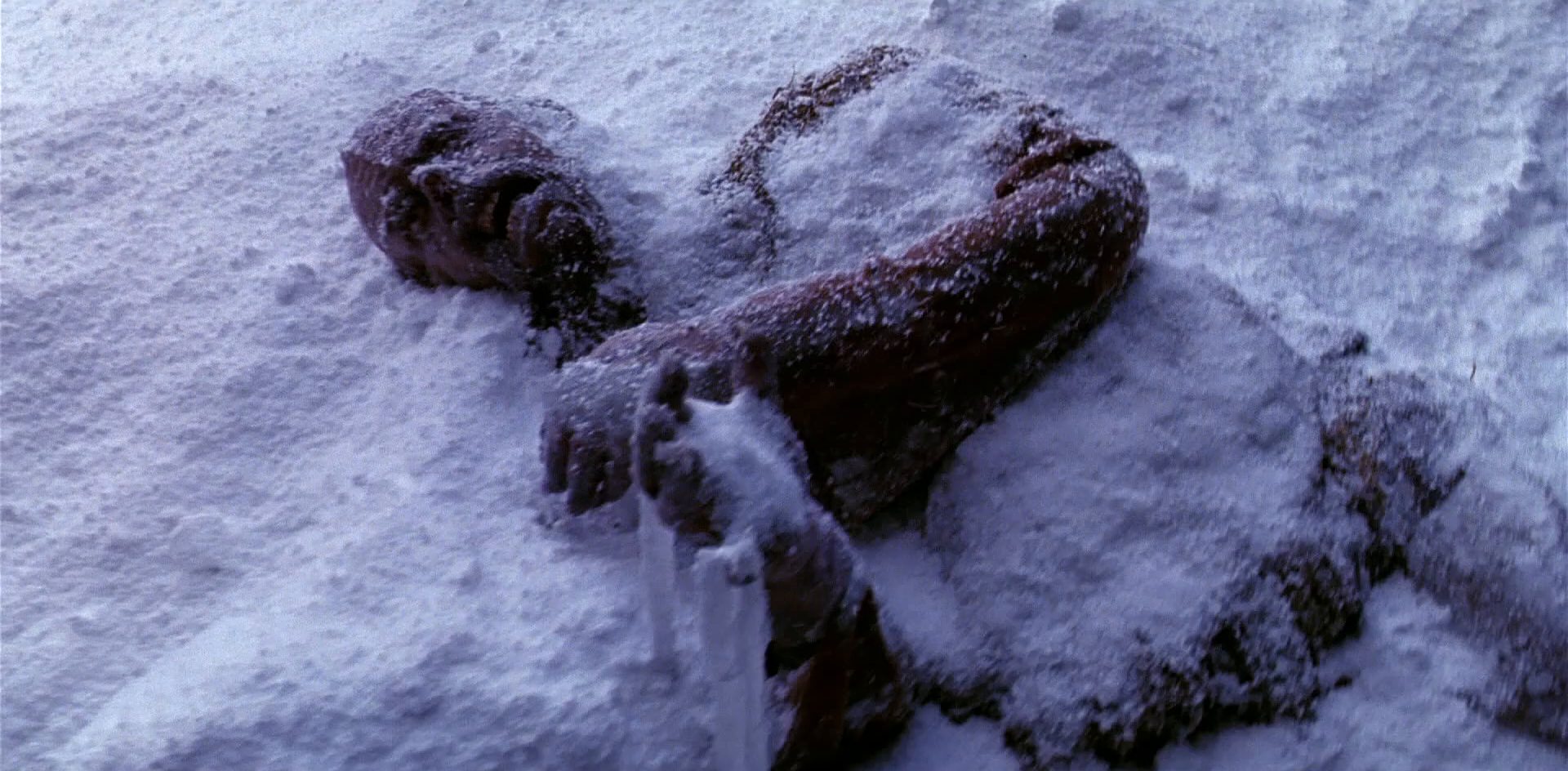 extant_StarTrek_6_TheUndiscoveredCountry_DC_06294.jpg