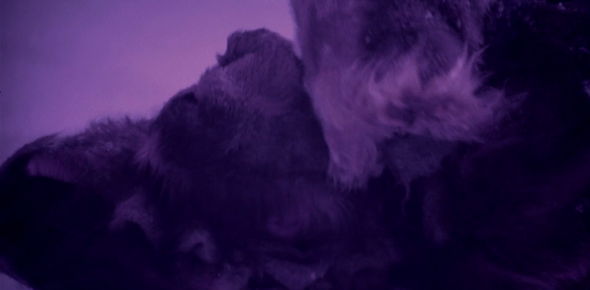 extant_StarTrek_6_TheUndiscoveredCountry_DC_06454.jpg