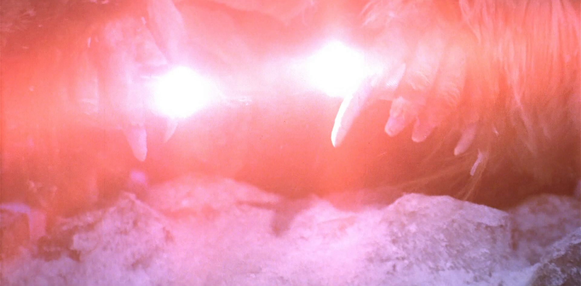 extant_StarTrek_6_TheUndiscoveredCountry_DC_06661.jpg