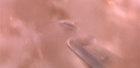 Filename=extant_StarTrek_6_TheUndiscoveredCountry_DC_00403.jpg
Filesize=202KiB
Dimensions=1920x944
Date added=Jul 02, 2020 extant_StarTrek_6_TheUndiscoveredCountry_DC_00403.jpg