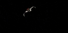 Filename=extant_StarTrek_6_TheUndiscoveredCountry_DC_01480.jpg
Filesize=64KiB
Dimensions=1920x944
Date added=Jul 02, 2020 extant_StarTrek_6_TheUndiscoveredCountry_DC_01480.jpg