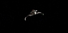 Filename=extant_StarTrek_6_TheUndiscoveredCountry_DC_01484.jpg
Filesize=68KiB
Dimensions=1920x944
Date added=Jul 02, 2020 extant_StarTrek_6_TheUndiscoveredCountry_DC_01484.jpg