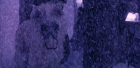 Filename=extant_StarTrek_6_TheUndiscoveredCountry_DC_04890.jpg
Filesize=195KiB
Dimensions=1920x944
Date added=Jul 02, 2020 extant_StarTrek_6_TheUndiscoveredCountry_DC_04890.jpg