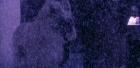Filename=extant_StarTrek_6_TheUndiscoveredCountry_DC_04892.jpg
Filesize=191KiB
Dimensions=1920x944
Date added=Jul 02, 2020 extant_StarTrek_6_TheUndiscoveredCountry_DC_04892.jpg