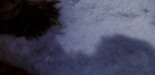 Filename=extant_StarTrek_6_TheUndiscoveredCountry_DC_06259.jpg
Filesize=156KiB
Dimensions=1920x944
Date added=Jul 02, 2020 extant_StarTrek_6_TheUndiscoveredCountry_DC_06259.jpg