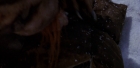 Filename=extant_StarTrek_6_TheUndiscoveredCountry_DC_06261.jpg
Filesize=118KiB
Dimensions=1920x944
Date added=Jul 02, 2020 extant_StarTrek_6_TheUndiscoveredCountry_DC_06261.jpg
