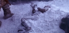 Filename=extant_StarTrek_6_TheUndiscoveredCountry_DC_06285.jpg
Filesize=237KiB
Dimensions=1920x944
Date added=Jul 02, 2020 extant_StarTrek_6_TheUndiscoveredCountry_DC_06285.jpg