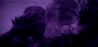 Filename=extant_StarTrek_6_TheUndiscoveredCountry_DC_06467.jpg
Filesize=113KiB
Dimensions=1920x944
Date added=Jul 02, 2020 extant_StarTrek_6_TheUndiscoveredCountry_DC_06467.jpg