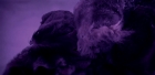Filename=extant_StarTrek_6_TheUndiscoveredCountry_DC_06472.jpg
Filesize=119KiB
Dimensions=1920x944
Date added=Jul 02, 2020 extant_StarTrek_6_TheUndiscoveredCountry_DC_06472.jpg