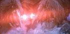 Filename=extant_StarTrek_6_TheUndiscoveredCountry_DC_06662.jpg
Filesize=162KiB
Dimensions=1920x944
Date added=Jul 02, 2020 extant_StarTrek_6_TheUndiscoveredCountry_DC_06662.jpg