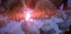 Filename=extant_StarTrek_6_TheUndiscoveredCountry_DC_06664.jpg
Filesize=176KiB
Dimensions=1920x944
Date added=Jul 02, 2020 extant_StarTrek_6_TheUndiscoveredCountry_DC_06664.jpg