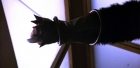 Filename=extant_StarTrek_6_TheUndiscoveredCountry_DC_08362.jpg
Filesize=122KiB
Dimensions=1920x944
Date added=Jul 02, 2020 extant_StarTrek_6_TheUndiscoveredCountry_DC_08362.jpg