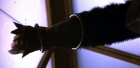 Filename=extant_StarTrek_6_TheUndiscoveredCountry_DC_08363.jpg
Filesize=147KiB
Dimensions=1920x944
Date added=Jul 02, 2020 extant_StarTrek_6_TheUndiscoveredCountry_DC_08363.jpg