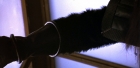 Filename=extant_StarTrek_6_TheUndiscoveredCountry_DC_08364.jpg
Filesize=146KiB
Dimensions=1920x944
Date added=Jul 02, 2020 extant_StarTrek_6_TheUndiscoveredCountry_DC_08364.jpg