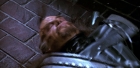Filename=extant_StarTrek_6_TheUndiscoveredCountry_DC_08680.jpg
Filesize=184KiB
Dimensions=1920x944
Date added=Jul 02, 2020 extant_StarTrek_6_TheUndiscoveredCountry_DC_08680.jpg