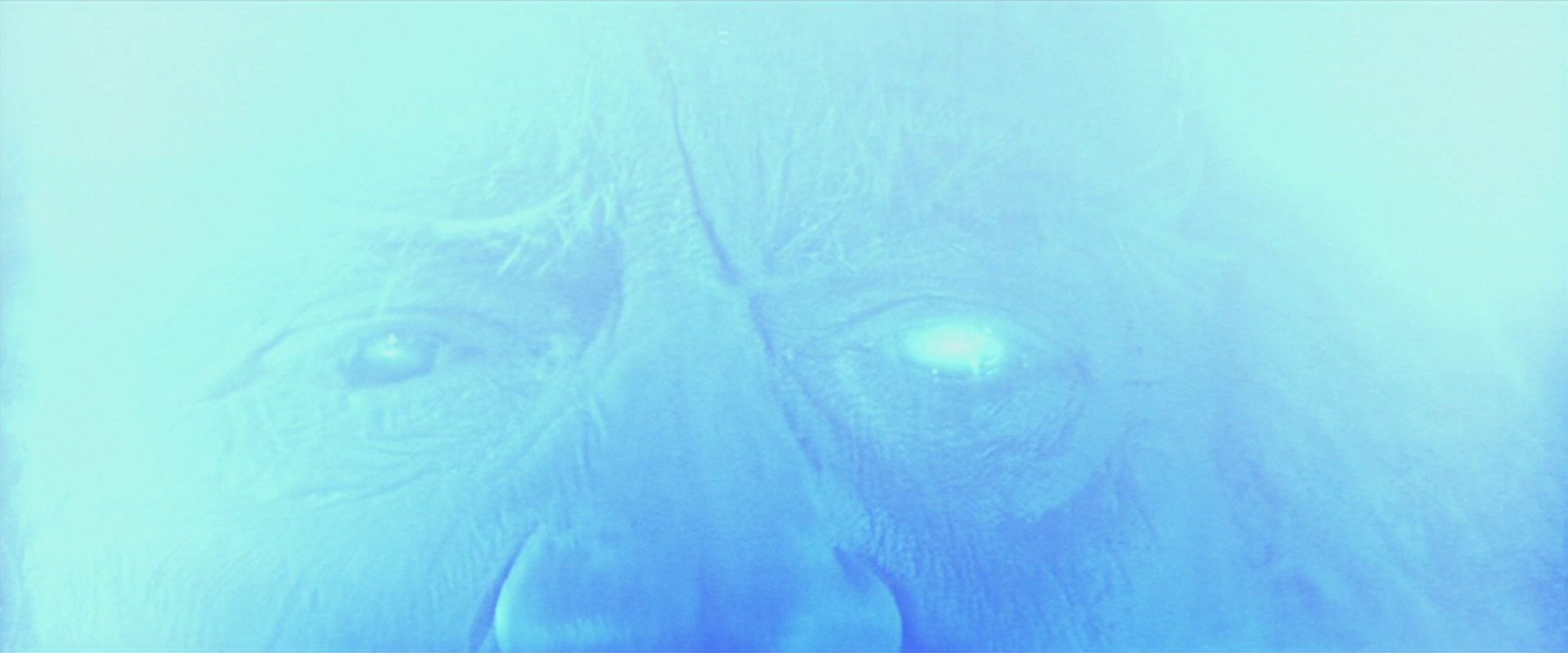 extant_StarTrekV_TheFinalFrontier_09781.jpg