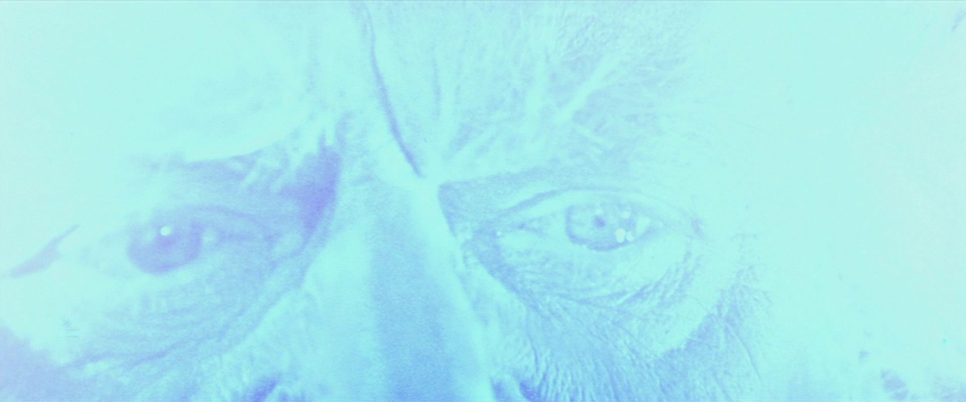 extant_StarTrekV_TheFinalFrontier_09803.jpg