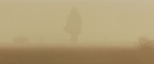 extant_StarTrekV_TheFinalFrontier_00067.jpg
