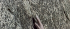 extant_StarTrekV_TheFinalFrontier_00742.jpg