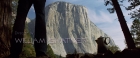 extant_StarTrekV_TheFinalFrontier_00799.jpg