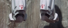 extant_StarTrekV_TheFinalFrontier_00915.jpg