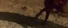 Filename=extant_StarTrekV_TheFinalFrontier_01081.jpg
Filesize=124KiB
Dimensions=1910x796
Date added=Apr 11, 2019 extant_StarTrekV_TheFinalFrontier_01081.jpg