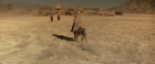 Filename=extant_StarTrekV_TheFinalFrontier_01085.jpg
Filesize=144KiB
Dimensions=1910x796
Date added=Apr 11, 2019 extant_StarTrekV_TheFinalFrontier_01085.jpg