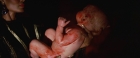 Filename=extant_StarTrekV_TheFinalFrontier_07913.jpg
Filesize=90KiB
Dimensions=1910x796
Date added=Apr 11, 2019 extant_StarTrekV_TheFinalFrontier_07913.jpg