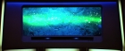 Filename=extant_StarTrekV_TheFinalFrontier_08263.jpg
Filesize=118KiB
Dimensions=1910x796
Date added=Apr 11, 2019 extant_StarTrekV_TheFinalFrontier_08263.jpg