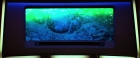 extant_StarTrekV_TheFinalFrontier_08267.jpg