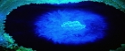 Filename=extant_StarTrekV_TheFinalFrontier_08352.jpg
Filesize=144KiB
Dimensions=1910x796
Date added=Apr 11, 2019 extant_StarTrekV_TheFinalFrontier_08352.jpg