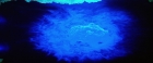 Filename=extant_StarTrekV_TheFinalFrontier_08354.jpg
Filesize=119KiB
Dimensions=1910x796
Date added=Apr 11, 2019 extant_StarTrekV_TheFinalFrontier_08354.jpg