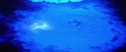 Filename=extant_StarTrekV_TheFinalFrontier_08359.jpg
Filesize=133KiB
Dimensions=1910x796
Date added=Apr 11, 2019 extant_StarTrekV_TheFinalFrontier_08359.jpg