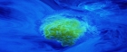 Filename=extant_StarTrekV_TheFinalFrontier_08373.jpg
Filesize=162KiB
Dimensions=1910x796
Date added=Apr 11, 2019 extant_StarTrekV_TheFinalFrontier_08373.jpg