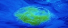 Filename=extant_StarTrekV_TheFinalFrontier_08375.jpg
Filesize=153KiB
Dimensions=1910x796
Date added=Apr 11, 2019 extant_StarTrekV_TheFinalFrontier_08375.jpg