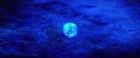 Filename=extant_StarTrekV_TheFinalFrontier_08409.jpg
Filesize=143KiB
Dimensions=1910x796
Date added=Apr 11, 2019 extant_StarTrekV_TheFinalFrontier_08409.jpg