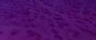 Filename=extant_StarTrekV_TheFinalFrontier_08742.jpg
Filesize=91KiB
Dimensions=1910x796
Date added=Apr 11, 2019 extant_StarTrekV_TheFinalFrontier_08742.jpg