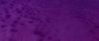 Filename=extant_StarTrekV_TheFinalFrontier_08743.jpg
Filesize=88KiB
Dimensions=1910x796
Date added=Apr 11, 2019 extant_StarTrekV_TheFinalFrontier_08743.jpg