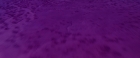 Filename=extant_StarTrekV_TheFinalFrontier_08744.jpg
Filesize=94KiB
Dimensions=1910x796
Date added=Apr 11, 2019 extant_StarTrekV_TheFinalFrontier_08744.jpg