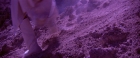 Filename=extant_StarTrekV_TheFinalFrontier_09082.jpg
Filesize=241KiB
Dimensions=1910x796
Date added=Apr 11, 2019 extant_StarTrekV_TheFinalFrontier_09082.jpg