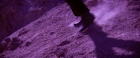 Filename=extant_StarTrekV_TheFinalFrontier_09084.jpg
Filesize=237KiB
Dimensions=1910x796
Date added=Apr 11, 2019 extant_StarTrekV_TheFinalFrontier_09084.jpg
