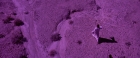 Filename=extant_StarTrekV_TheFinalFrontier_09091.jpg
Filesize=290KiB
Dimensions=1910x796
Date added=Apr 11, 2019 extant_StarTrekV_TheFinalFrontier_09091.jpg