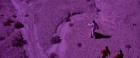 Filename=extant_StarTrekV_TheFinalFrontier_09092.jpg
Filesize=287KiB
Dimensions=1910x796
Date added=Apr 11, 2019 extant_StarTrekV_TheFinalFrontier_09092.jpg