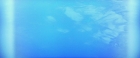 Filename=extant_StarTrekV_TheFinalFrontier_09485.jpg
Filesize=91KiB
Dimensions=1910x796
Date added=Apr 11, 2019 extant_StarTrekV_TheFinalFrontier_09485.jpg