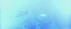 extant_StarTrekV_TheFinalFrontier_09781.jpg