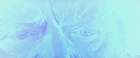 Filename=extant_StarTrekV_TheFinalFrontier_09804.jpg
Filesize=99KiB
Dimensions=1910x796
Date added=Apr 11, 2019 extant_StarTrekV_TheFinalFrontier_09804.jpg